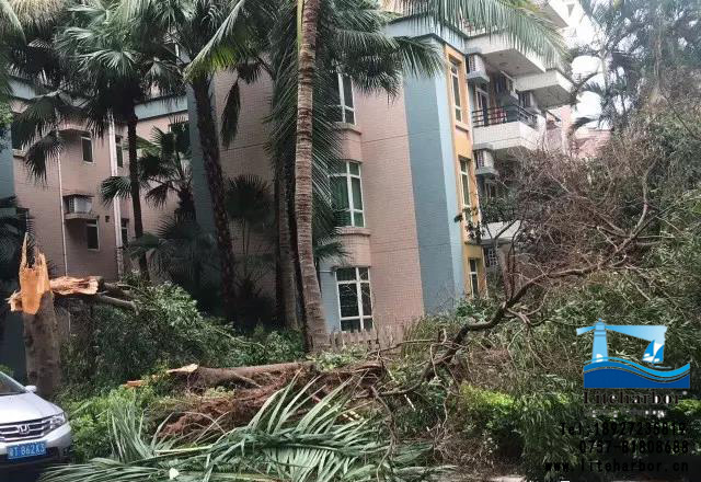 微信圖片_20170823234139